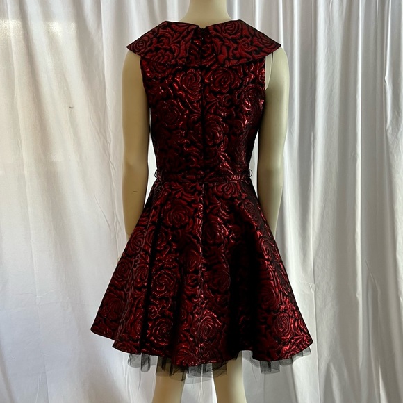 Tatyana Party dress - NWT! - Picture 4 of 10